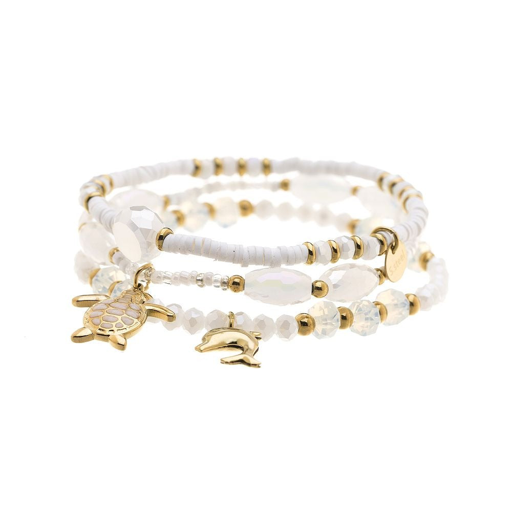 Fox by Ren GmbH - DOB; ACCessoires - Neuss