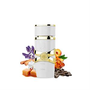 Dolce Tendenza - Großhandel DOB, Damenmode