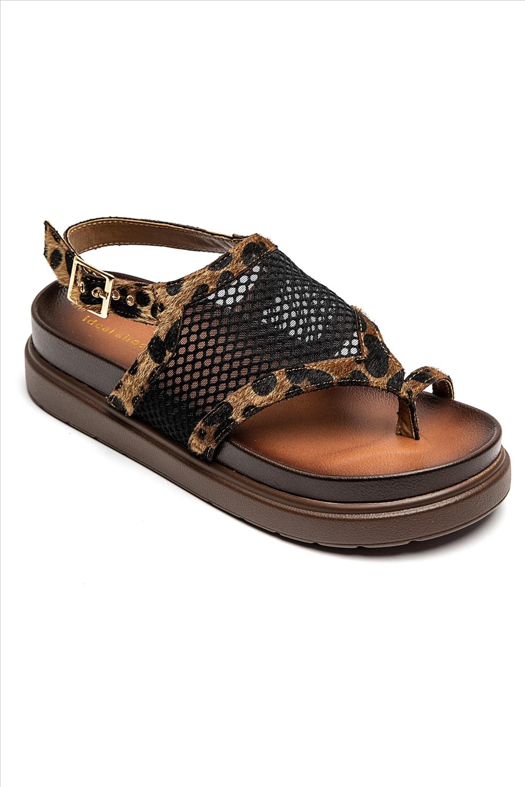 Lujah Shoes (Schuhgrosshandel)